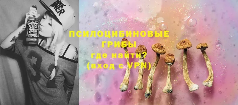 Галлюциногенные грибы Cubensis  даркнет сайт  Кирсанов 